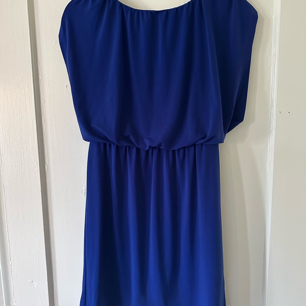 Enfocus Studio Elegant Blue Midi Dress